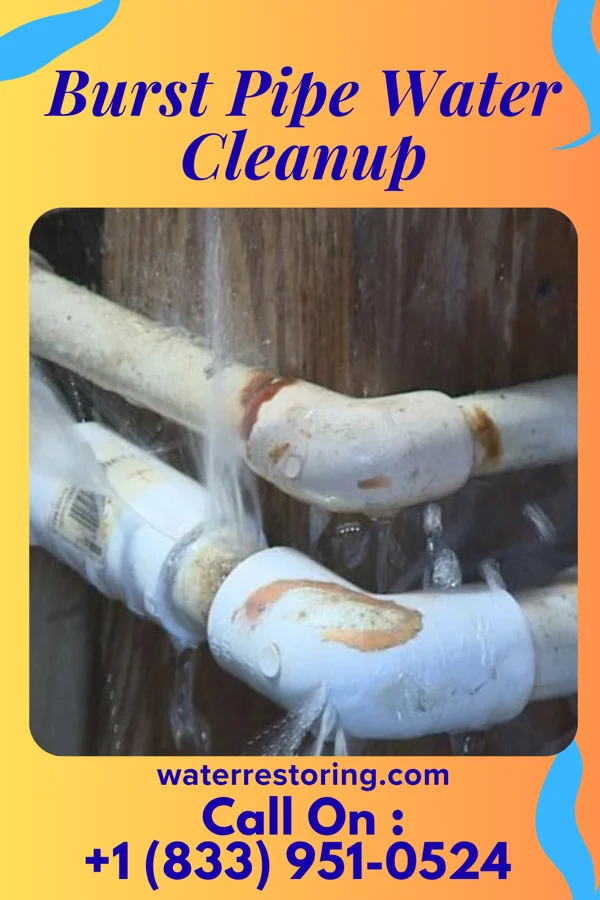 Burst Pipe Water Cleanup in Mildred, KS