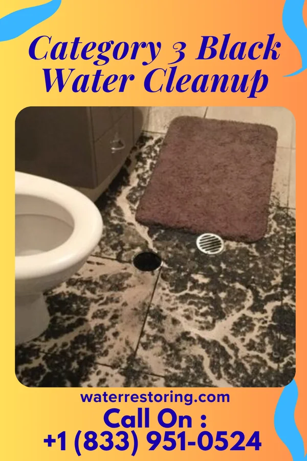 Category 3 Black Water Cleanup in Mildred, KS