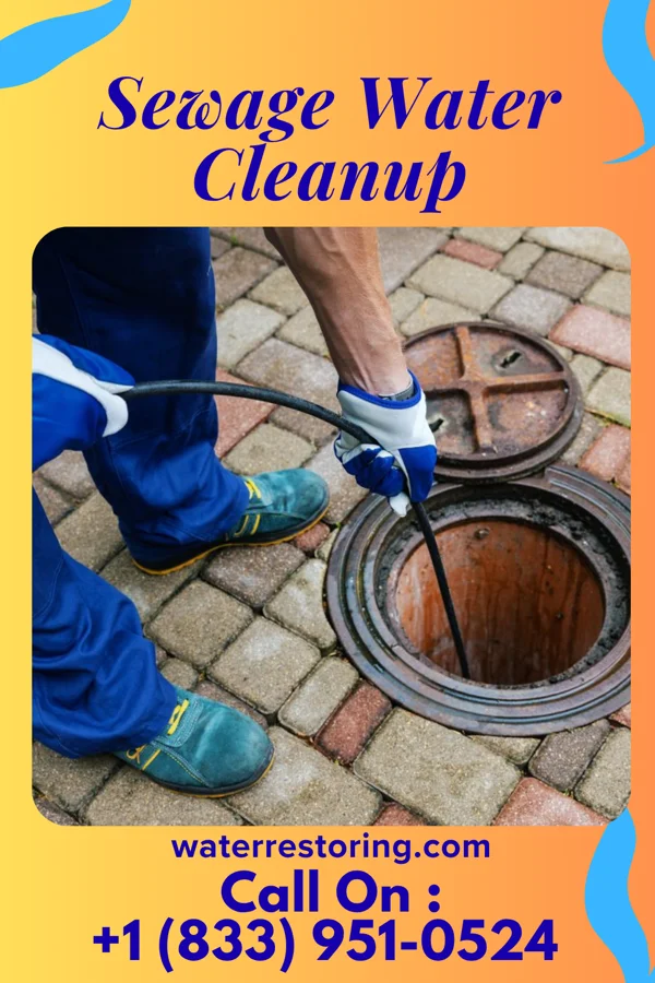 Sewage Water Cleanup in Mildred, KS