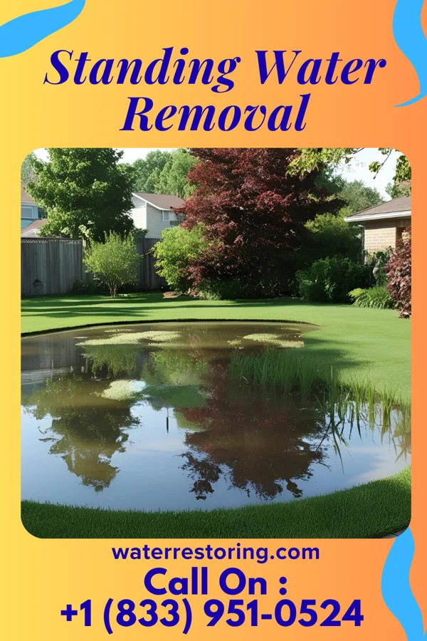 Standing Water Removal in Mildred, KS